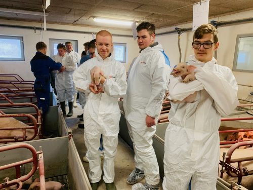 019b265453cf82414028c74c63154809ef98fa3f60